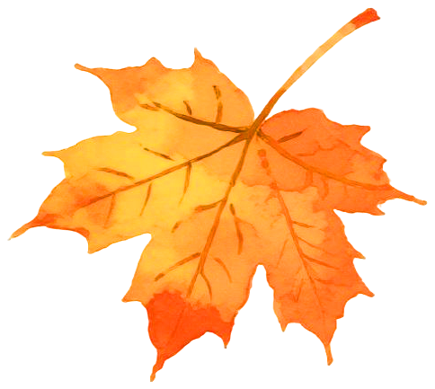 “尋驛天中劇本游”國(guó)慶特別篇——廣受游客追捧