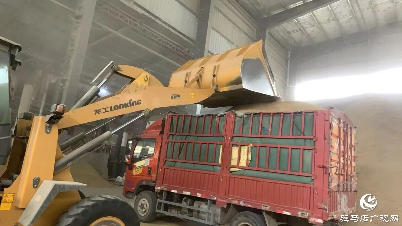 正陽縣大林鎮(zhèn)：多措并舉下實功?全力護(hù)航“三秋”生產(chǎn)