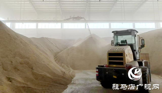 正陽縣大林鎮(zhèn)：多措并舉破解生產(chǎn)難題 保障“三秋”工作高效推進(jìn)?