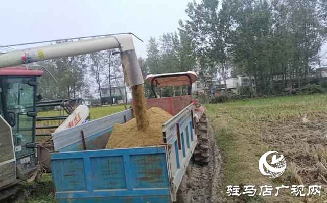 正陽縣大林鎮(zhèn)：多措并舉破解生產(chǎn)難題 保障“三秋”工作高效推進(jìn)?