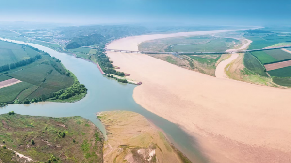 注意！黃河發(fā)生2025第1號洪水！