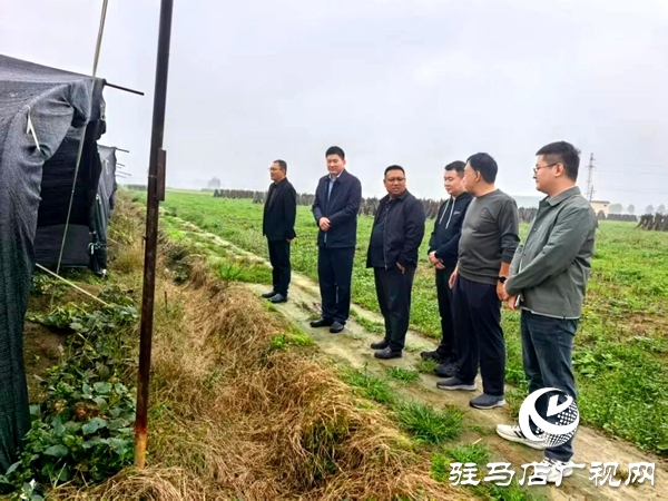 平輿縣民政局局長(zhǎng)李松勇深入結(jié)對(duì)幫扶村調(diào)研指導(dǎo)秋收工作