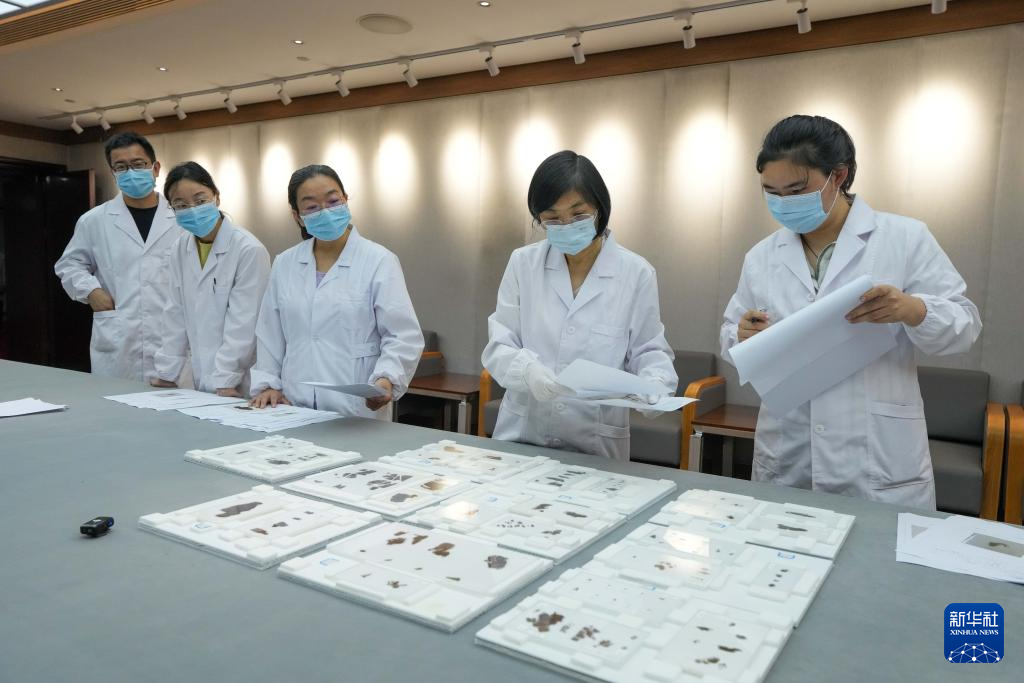 國寶安家！子彈庫戰(zhàn)國帛書正式入藏湖南省博物館