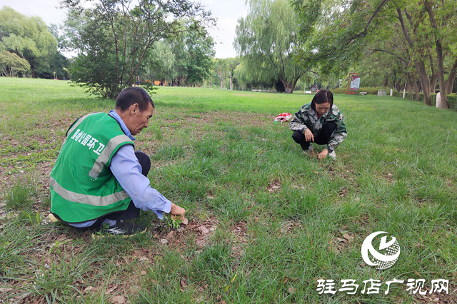 駐馬店置地公園：秋季養(yǎng)護(hù)正當(dāng)時(shí) 筑牢綠植越冬“防護(hù)網(wǎng)”