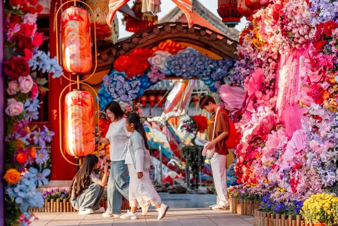 有一種浪漫，叫汴菊！