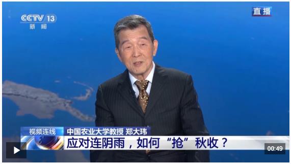 新聞1+1丨應(yīng)對連陰雨，如何“搶”秋收？