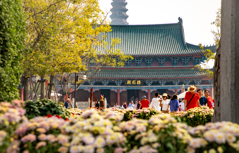 有一種浪漫，叫汴菊！