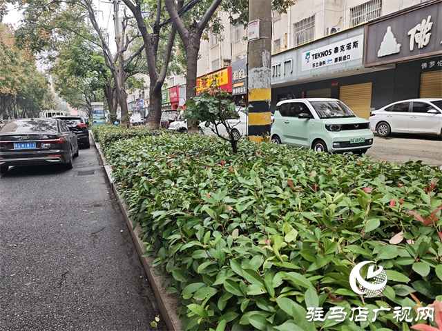  開發(fā)區(qū)城管理事務(wù)中心：修剪綠化帶 消除出行隱患