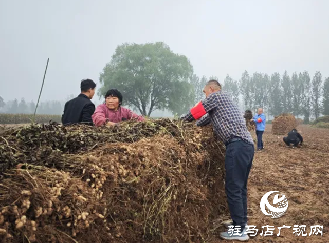 新蔡縣佛閣寺鎮(zhèn)：志愿搶收服務(wù)隊雨中守護農(nóng)戶“糧袋子”??