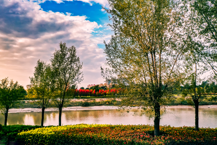 縣區(qū)動(dòng)態(tài)|草木知秋意 斑斕繪彩卷