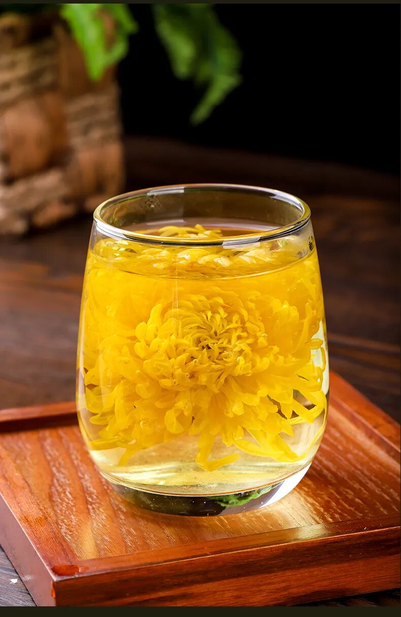 有一種浪漫，叫汴菊！