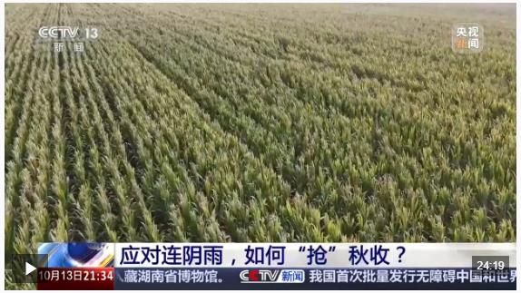 新聞1+1丨應(yīng)對連陰雨，如何“搶”秋收？