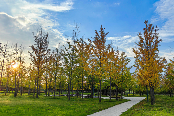 縣區(qū)動(dòng)態(tài)|草木知秋意 斑斕繪彩卷
