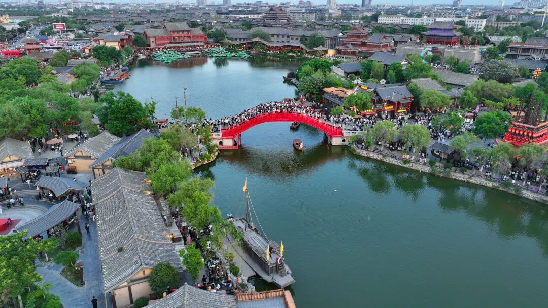 有一種浪漫，叫汴菊！