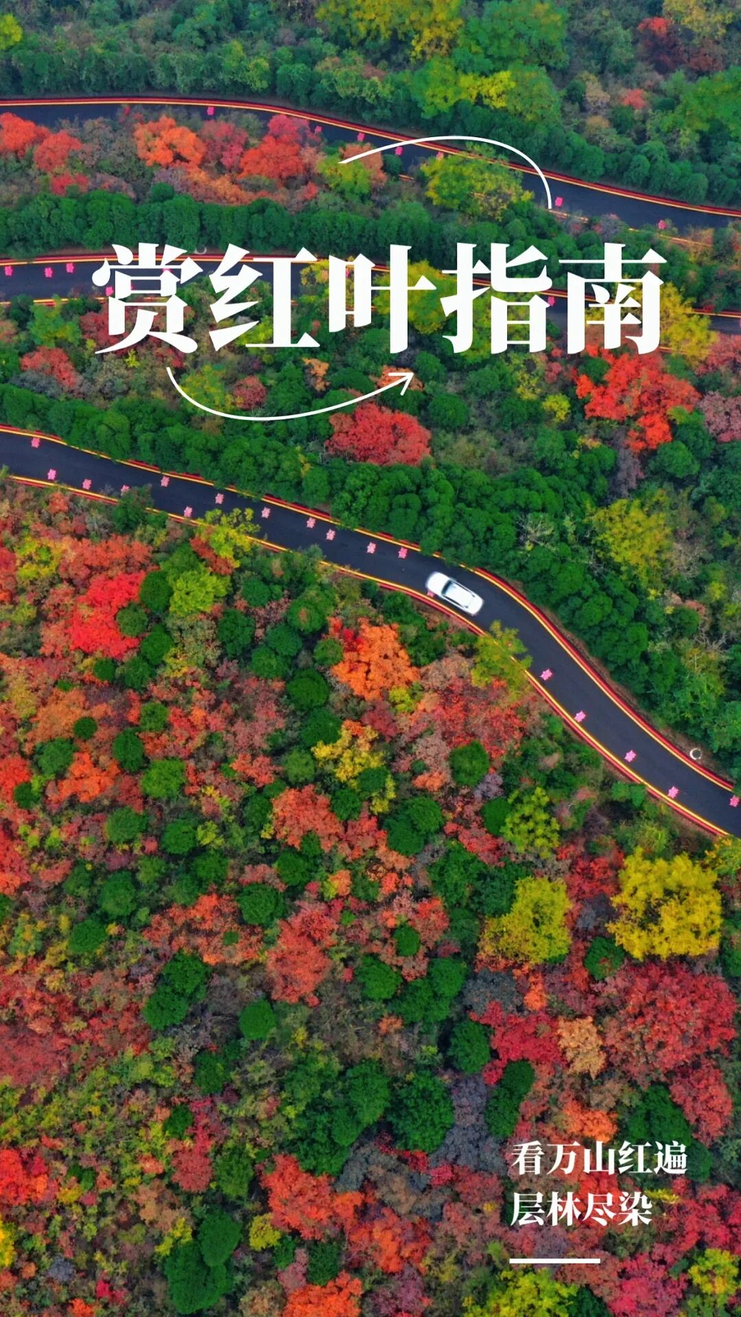 看萬山紅遍!河南賞紅葉指南來啦→