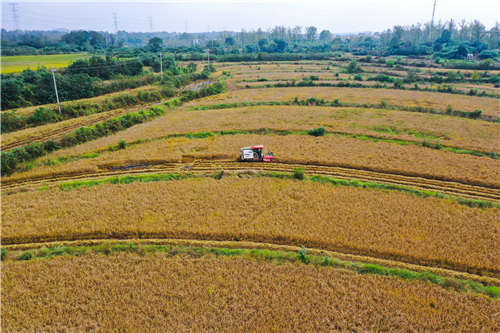 連陰雨里?！叭铩?></a></p>
		                <div   id="yboyl1ak6"   class=