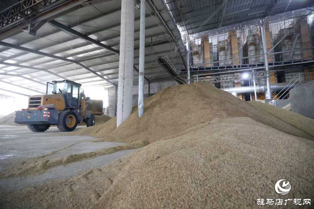 正陽縣：晝夜搶烘 保糧減損