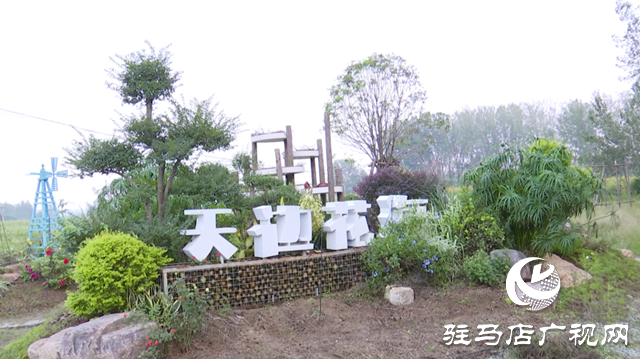 驛城區(qū)諸市鎮(zhèn)魏莊村“天邊花?！奔磳㈤_園