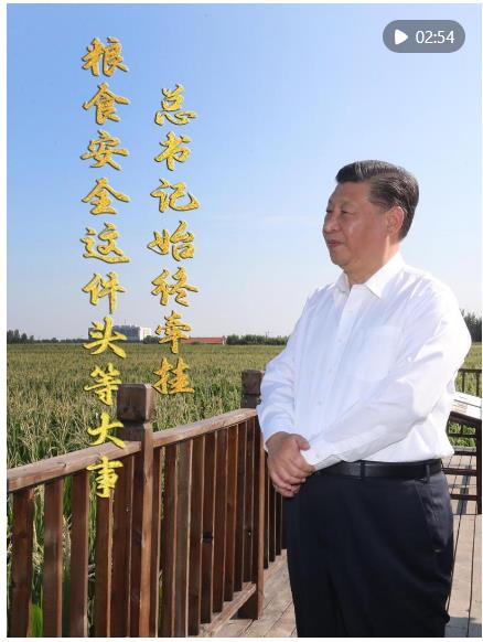 微視頻｜糧食安全這件頭等大事 總書記始終牽掛