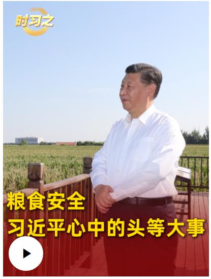時(shí)習(xí)之｜糧食安全：習(xí)近平心中的頭等大事