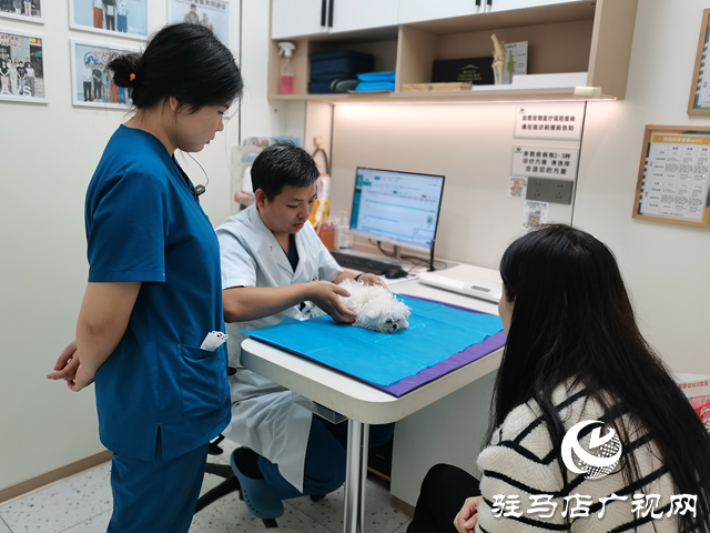 秋季寵物呼吸道與胃腸道疾病高發(fā) 專業(yè)醫(yī)師提醒科學防護?