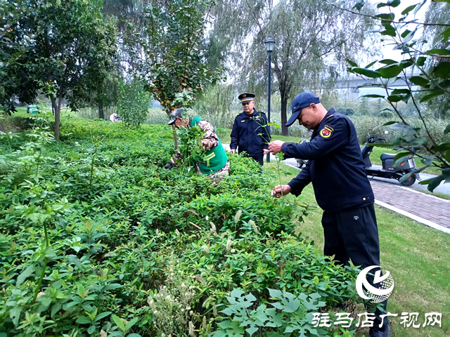 確山縣住建局：科學(xué)應(yīng)對連續(xù)陰雨 全力守護(hù)城市園林