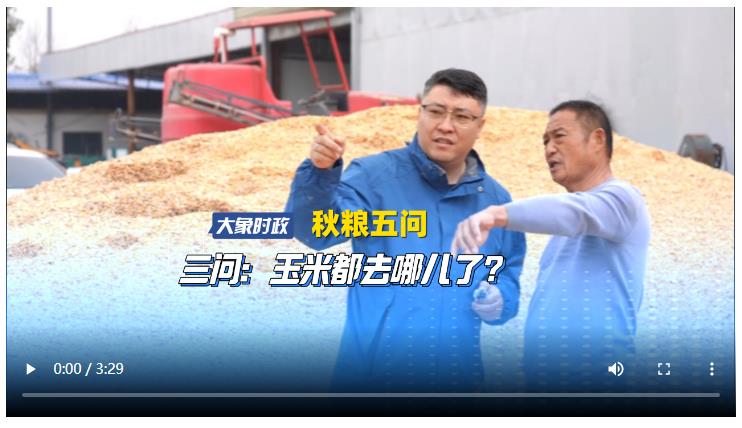 【秋糧五問】三問：玉米都去哪兒了？