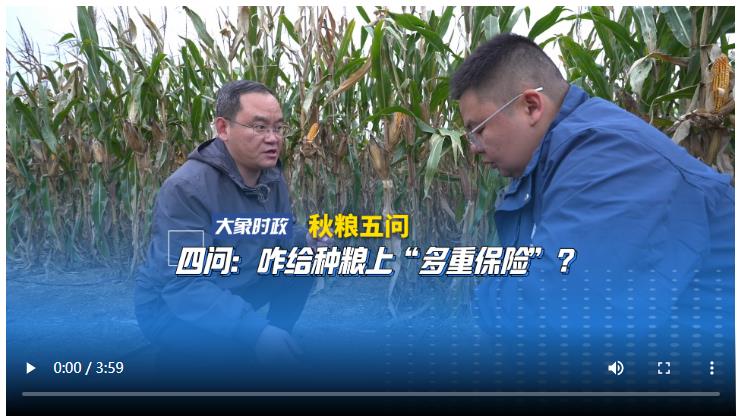 【秋糧五問】四問：咋給種糧上“多重保險”？