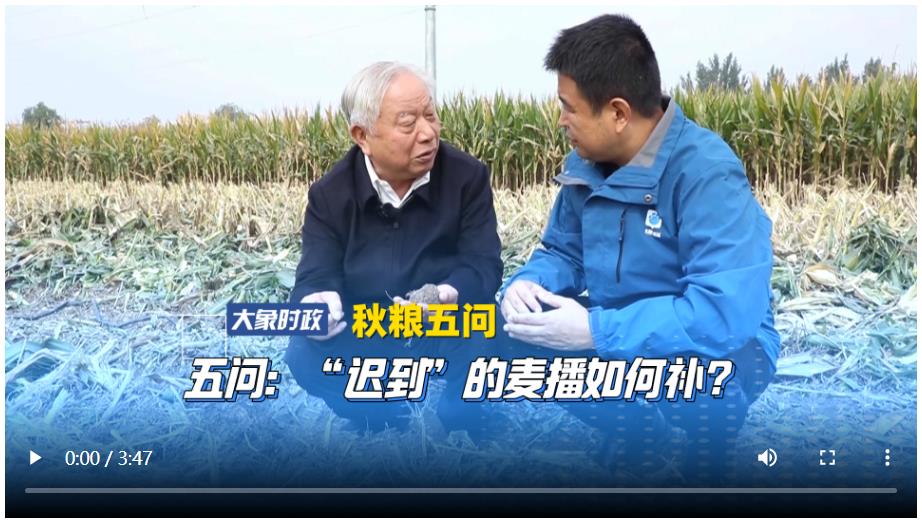 【秋糧五問】五問：“遲到”的麥播如何補(bǔ)？