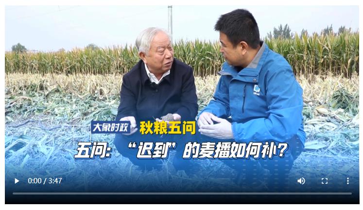 【秋糧五問】五問：“遲到”的麥播如何補？