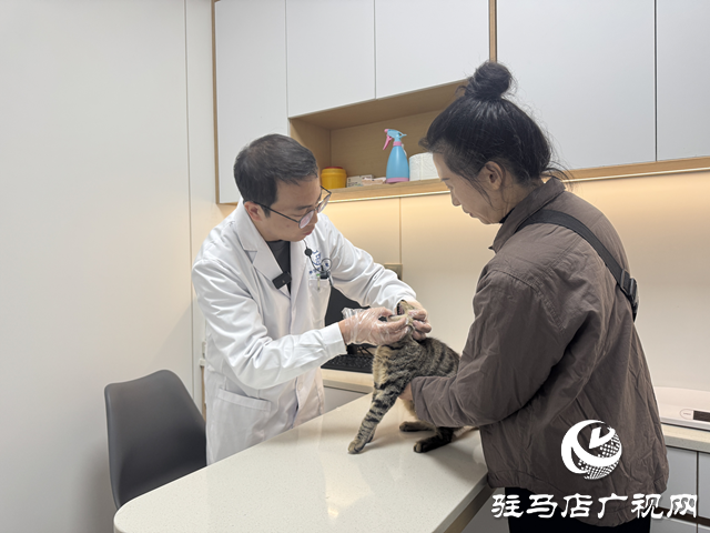 寒冬將至，您的“毛孩子”準(zhǔn)備好了嗎？——專(zhuān)業(yè)獸醫(yī)詳解冬季愛(ài)寵養(yǎng)護(hù)秘籍