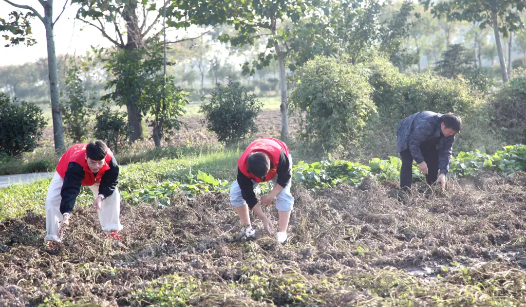 正陽(yáng)縣人民檢察院開(kāi)展“重陽(yáng)敬老傳溫情 搶收助農(nóng)踐初心”主題黨日活動(dòng)