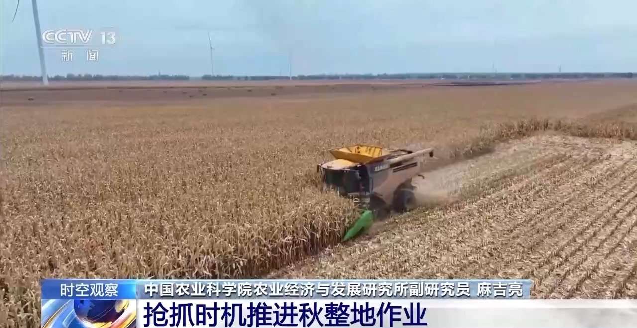 晚播小麥如何保產(chǎn)量？霜降搶秋該怎么搶？專家分析