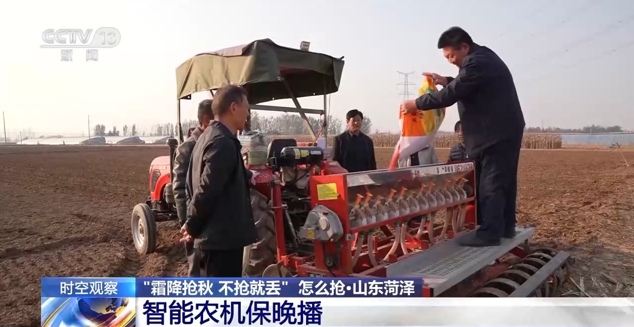 晚播小麥如何保產(chǎn)量？霜降搶秋該怎么搶？專家分析
