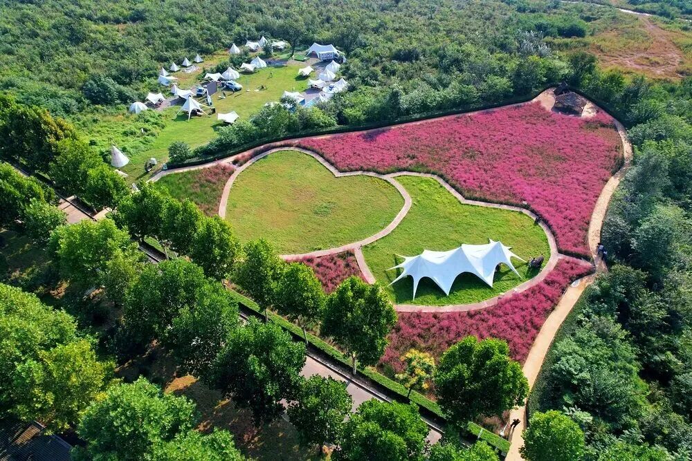 河南，被圈“粉”了！