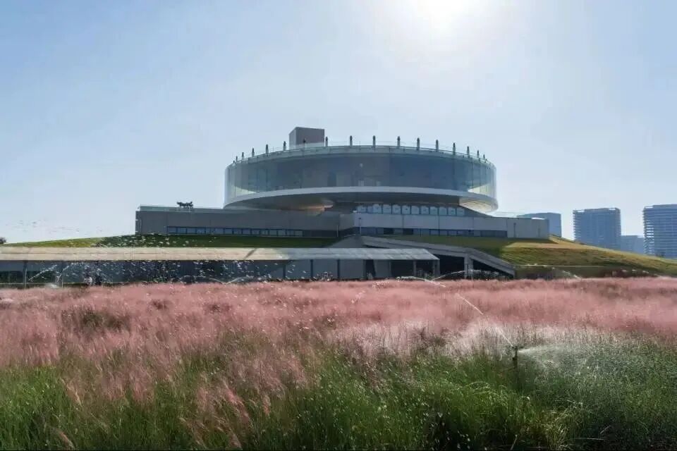 河南，被圈“粉”了！