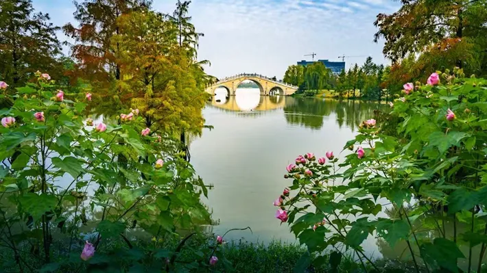 縣區(qū)動(dòng)態(tài) | 湖漾斑斕色 草木織彩秋