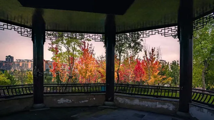 縣區(qū)動(dòng)態(tài) | 湖漾斑斕色 草木織彩秋