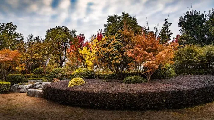 縣區(qū)動(dòng)態(tài) | 湖漾斑斕色 草木織彩秋