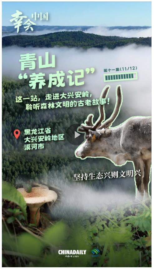 幸會中國 | 走進(jìn)大興安嶺，見證生態(tài)興文明興的力量