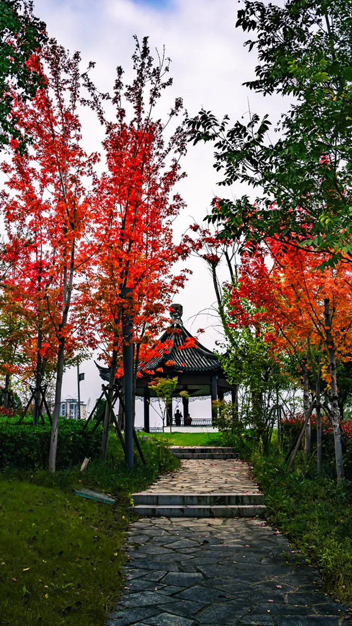 縣區(qū)動(dòng)態(tài) | 湖漾斑斕色 草木織彩秋