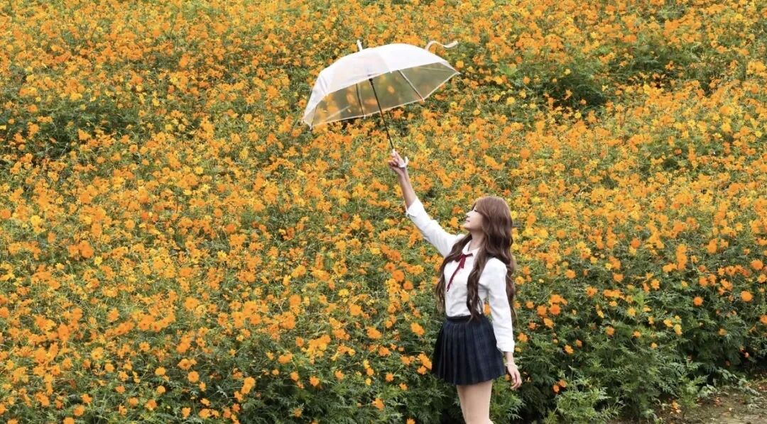 1031 共赴一場秋日菊宴