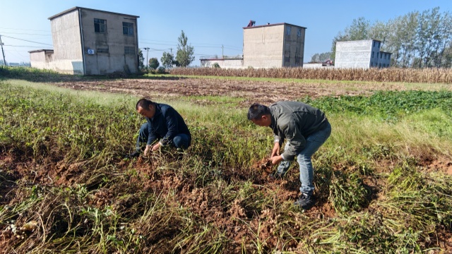 國網(wǎng)新蔡縣供電公司開展金秋幫扶活動