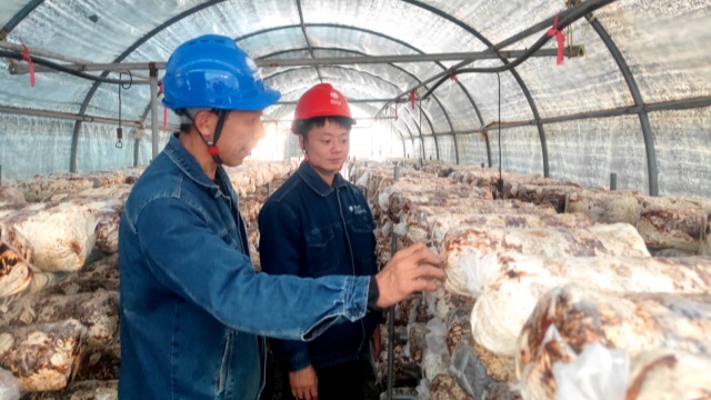 國網(wǎng)泌陽縣供電公司:服務(wù)冷庫安全用電 助力特色產(chǎn)業(yè)發(fā)展