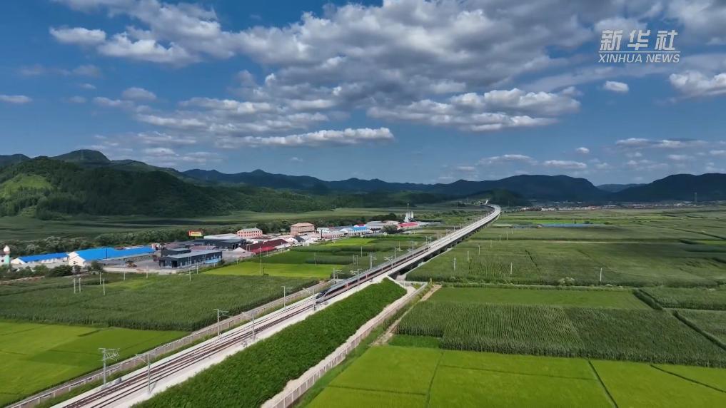 打折了！沈白高鐵各趟列車11月1日起不同程度降價(jià)