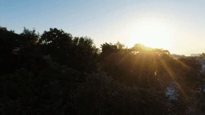 文化中國(guó)行·歲時(shí)中國(guó)|重陽(yáng):登高敬耆