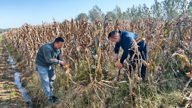國(guó)網(wǎng)新蔡縣供電公司開(kāi)展金秋幫扶活動(dòng)