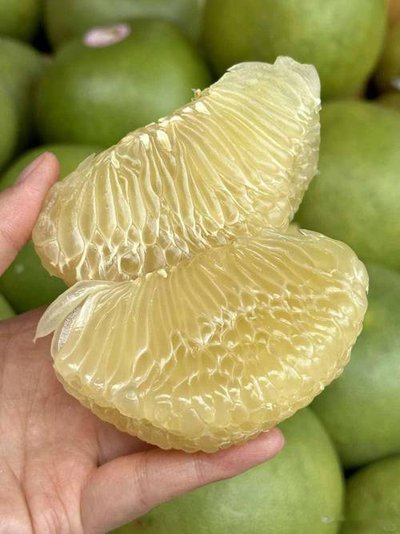 服藥慎吃柚！專家提醒：柚子及制品可能引發(fā)藥物不良反應(yīng)??