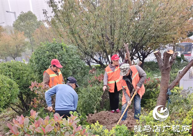  駐馬店市城鄉(xiāng)一體化示范區(qū)綜合執(zhí)法大隊(duì)開展高鐵廣場樹木補(bǔ)栽工作