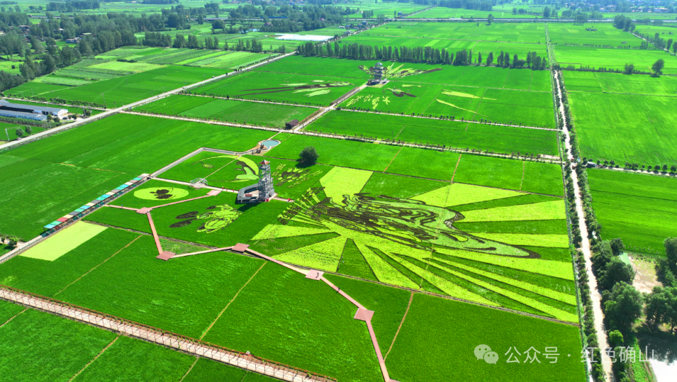 “十四五”駐馬店文旅答卷系列之三 | 業(yè)態(tài)創(chuàng)新升級，鄉(xiāng)村旅游火爆